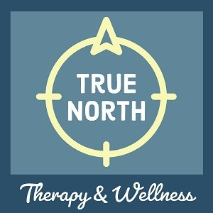 true north logo square